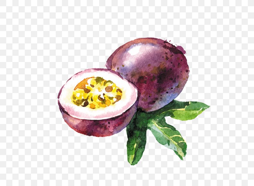Vector Graphics Watercolor Painting Stock Photography Drawing Illustration, PNG, 600x600px, Watercolor Painting, Art, Drawing, Food, Fotosearch Download Free