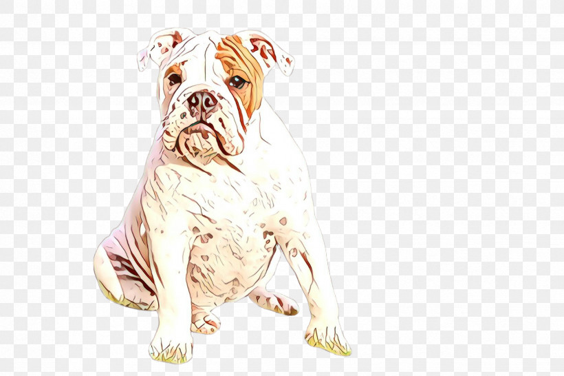 Bulldog, PNG, 2448x1632px, Dog, Bulldog, Old English Bulldog, Olde English Bulldogge, Toy Bulldog Download Free