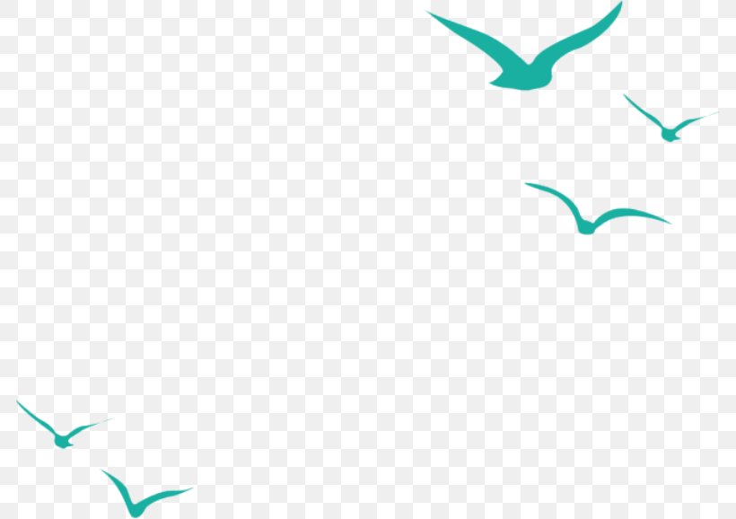 Hummingbird Flight Common Gull Beak, PNG, 784x578px, Bird, Avialae, Beak, Bird Colony, Blue Download Free