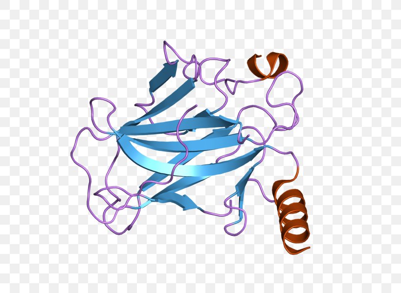 P53 Protein Multicellular Organism Tumor Suppressor Gene, PNG, 800x600px, Protein, Art, Artwork, Cancer, Fashion Accessory Download Free