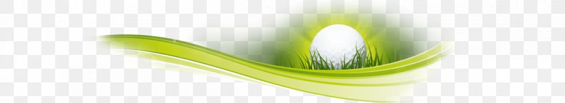 Product Design Close-up, PNG, 1200x220px, Closeup, Close Up, Grass Download Free