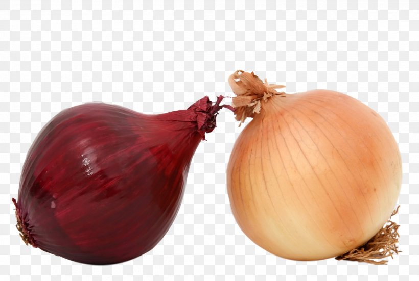 Yellow Onion Shallot Red Onion Food Health, PNG, 2498x1679px, Yellow Onion, Allium, Cooking, Eating, Food Download Free