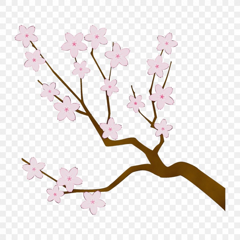 Cherry Blossom, PNG, 1200x1200px, Watercolor, Blossom, Branch, Cherry Blossom, Flower Download Free