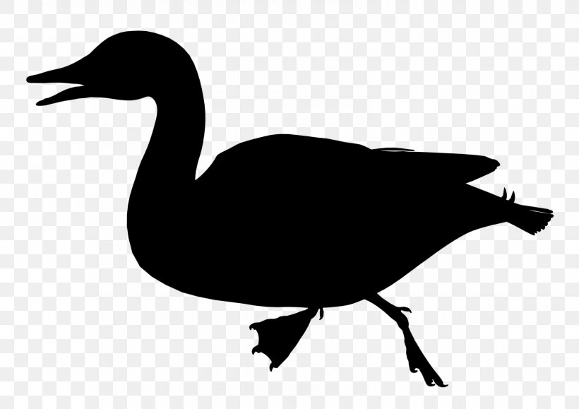 Duck Goose Clip Art Fowl Fauna, PNG, 1600x1131px, Duck, American Black Duck, Beak, Bird, Cormorant Download Free