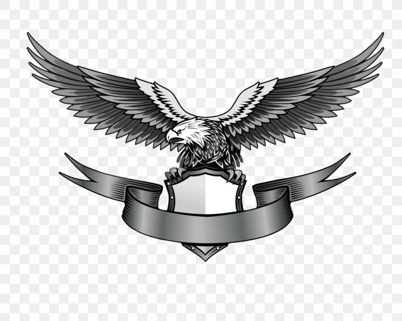 Eagle Logo Clip Art, PNG, 1023x819px, Logo, American Eagle Outfitters, Beak, Bird, Bird Of Prey Download Free