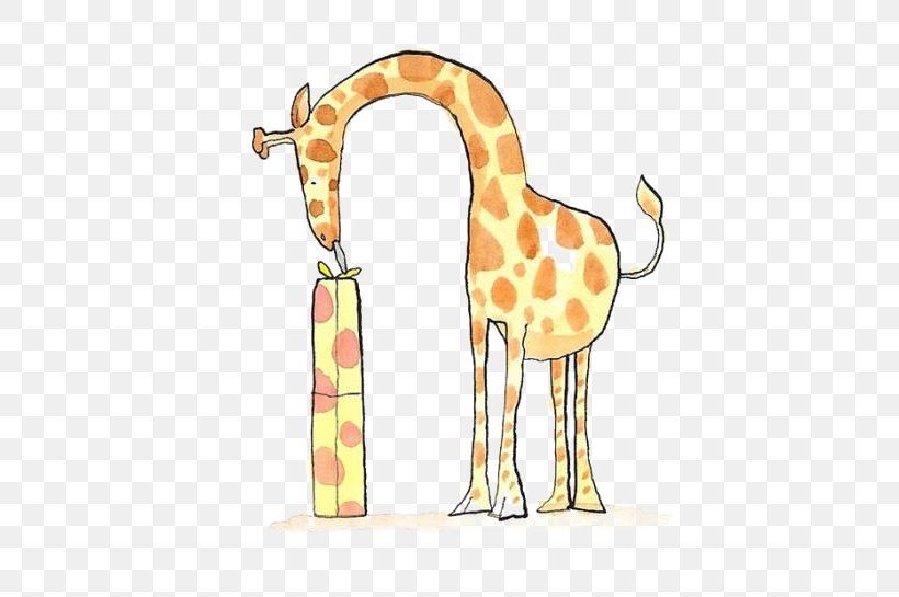 Northern Giraffe Cartoon Drawing, PNG, 527x545px, Northern Giraffe, Animal, Animation, Cartoon, Creativity Download Free