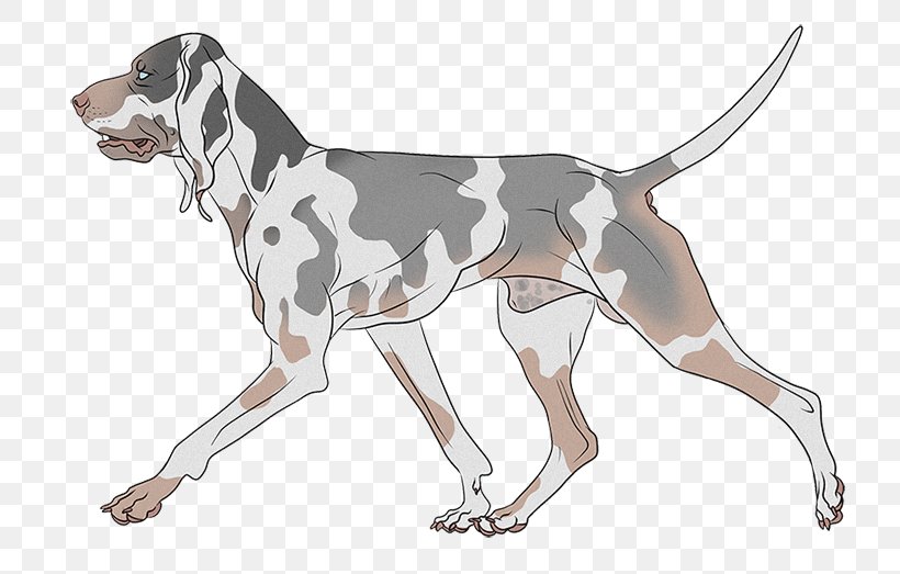 Treeing Walker Coonhound English Foxhound American Foxhound Finnish Hound Beagle, PNG, 762x523px, Treeing Walker Coonhound, American Foxhound, American Leopard Hound, Beagle, Carnivoran Download Free