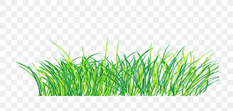Green Grass Background, PNG, 1675x797px, Watercolor, Color, Computer Software, Drawing, Grass Download Free