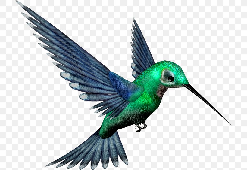 Hummingbird Clip Art, PNG, 719x566px, Bird, Beak, Bird Flight, Fauna, Feather Download Free