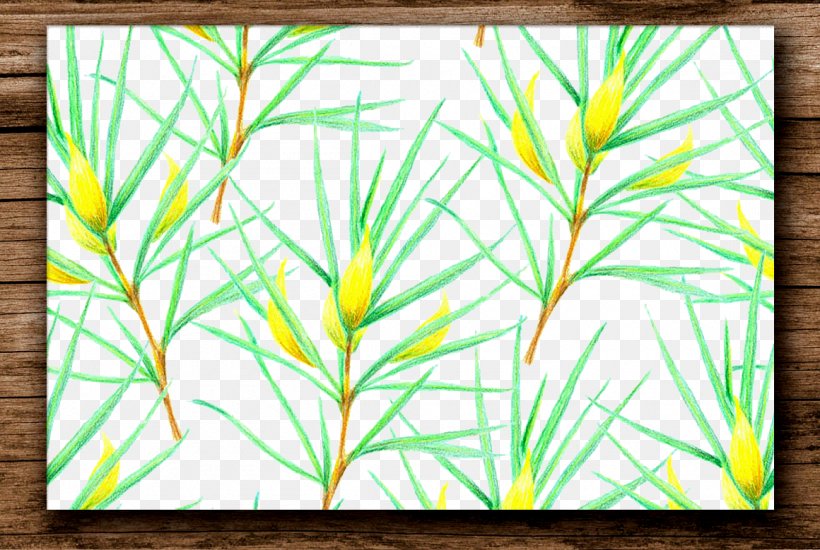 Plant Euclidean Vector, PNG, 1160x779px, Plant, Art, Artwork, Branch, Designer Download Free