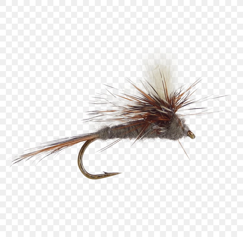 Artificial Fly Fly Fishing Adams Fly Tying, PNG, 800x800px, Fly, Adams, Artificial Fly, Fish Hook, Fishing Download Free