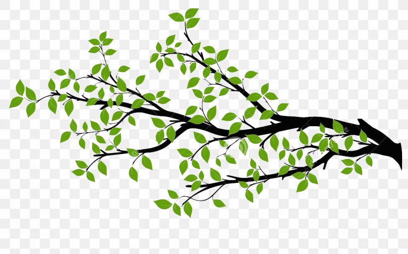 Branch Tree Drawing Royalty-free, PNG, 1300x811px, Branch, Art, Drawing, Flora, Flower Download Free