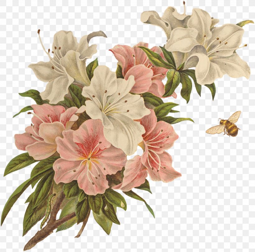 Floral Design Clip Art, PNG, 2185x2162px, Floral Design, Alstroemeriaceae, Blossom, Branch, Calligraphy Download Free