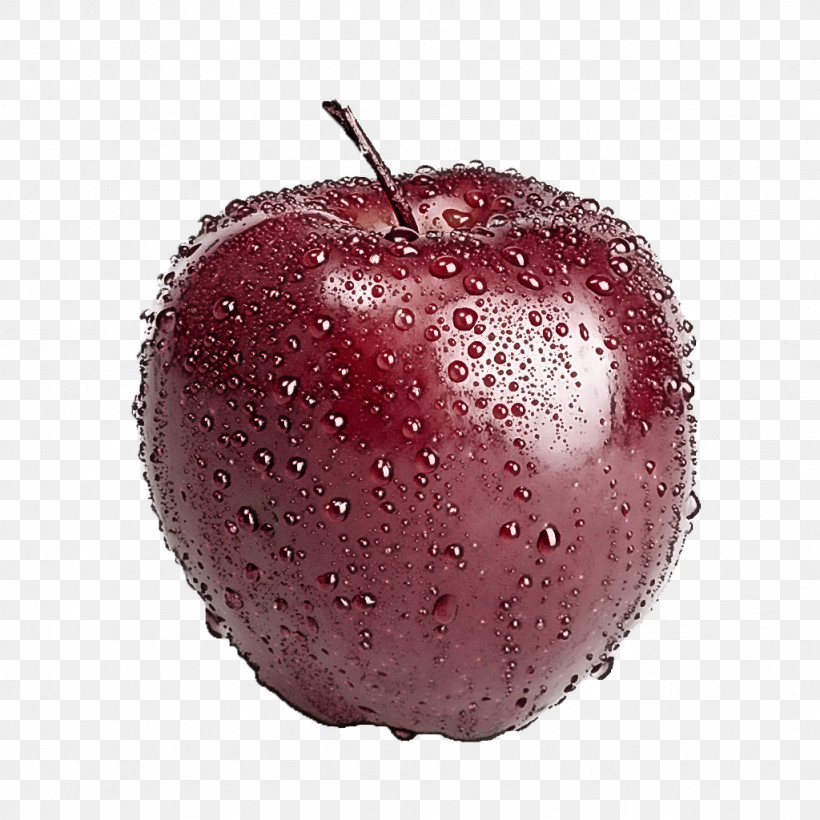 Fruit Apple Apple, PNG, 1024x1024px, Fruit, Apple Download Free