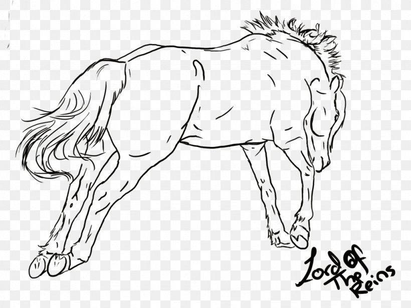 Mane Foal Mustang Colt Halter, PNG, 1024x768px, Mane, Animal, Animal Figure, Arm, Artwork Download Free
