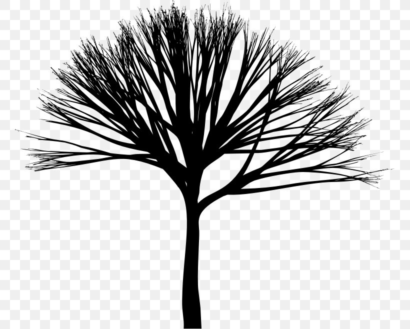 Twig Clip Art, PNG, 761x658px, Twig, Arecales, Black And White, Branch, Drawing Download Free