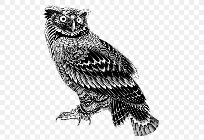 Doodle Owl Illustrator Drawing Illustration, PNG, 500x562px, Doodle, Art, Artist, Beak, Bird Download Free
