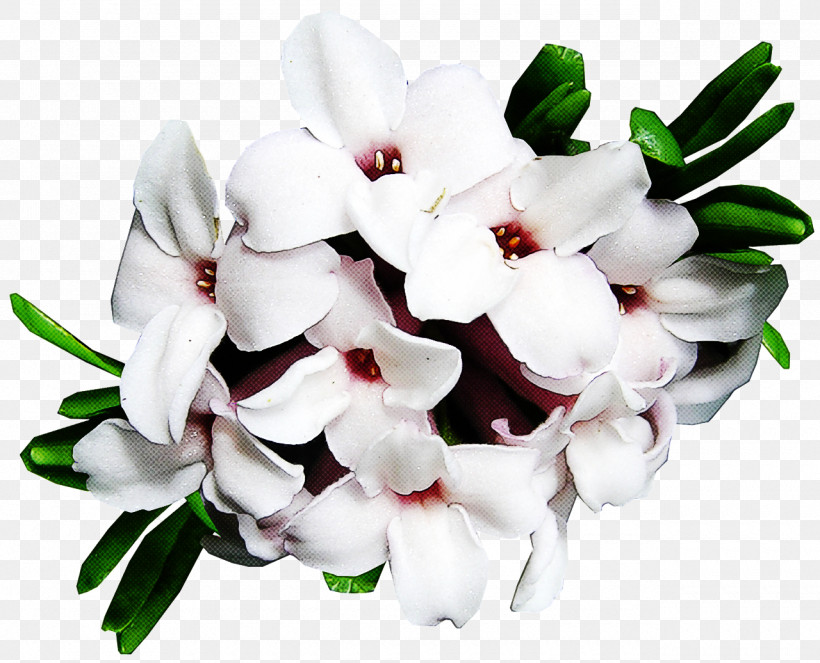 Flower Bouquet, PNG, 1280x1036px, Cut Flowers, Cartoon, Floral Design, Flower, Flower Bouquet Download Free