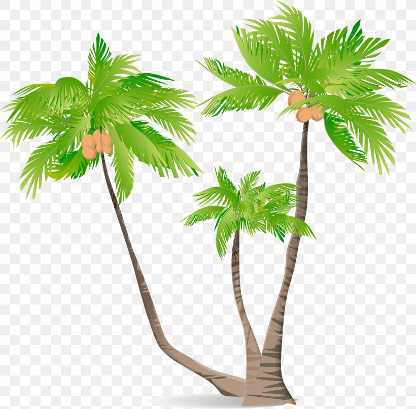 Arecaceae Green Coconut Illustration, PNG, 3001x2953px, Arecaceae, Arecales, Cartoon, Coconut, Flowerpot Download Free