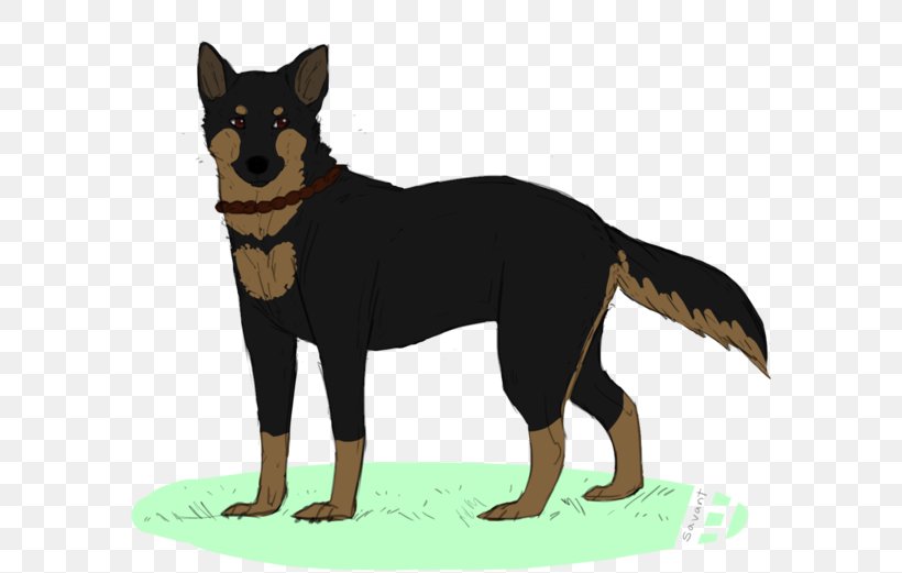 Ormskirk Terrier Australian Kelpie Pinscher Australian Cattle Dog Dog Breed, PNG, 600x521px, Australian Kelpie, Animated Cartoon, Australia, Australian Cattle Dog, Australians Download Free