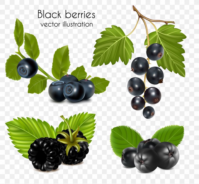 Juice Blackcurrant Berry Clip Art, PNG, 1000x929px, Juice, Berry, Bilberry, Blackberry, Blackcurrant Download Free