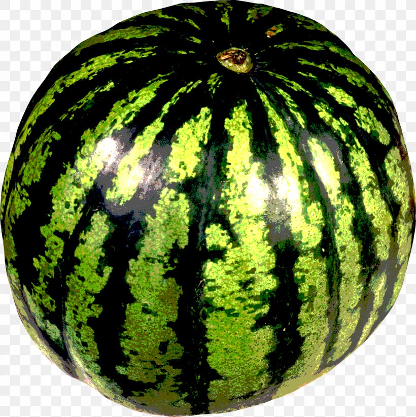 Watermelon Clip Art, PNG, 1276x1280px, Watermelon, Citrullus, Cucumber, Cucumber Gourd And Melon Family, Cucumis Download Free