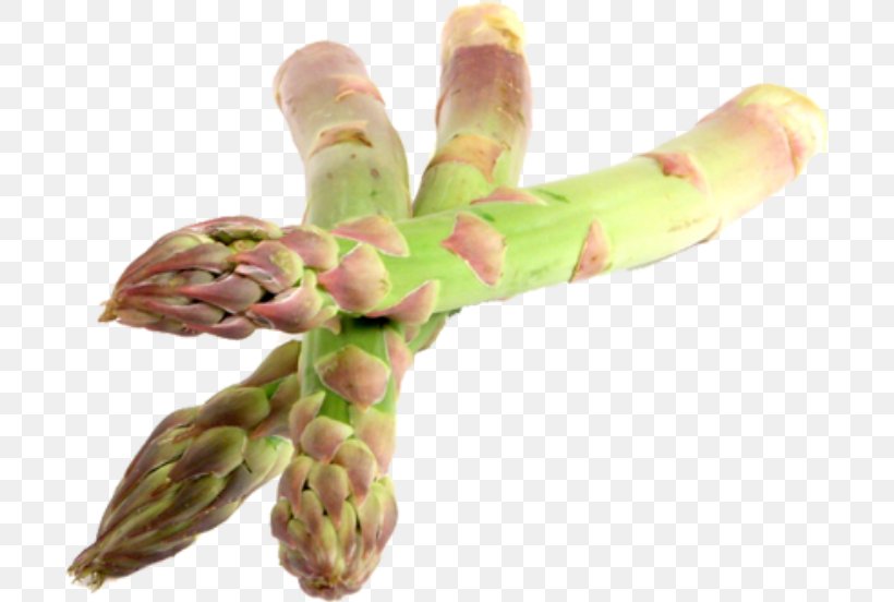 Asparagus Acutifolius Food Adenium Obesum Plant, PNG, 700x552px, Asparagus, Adenium, Adenium Obesum, Assortment Strategies, Flyer Download Free