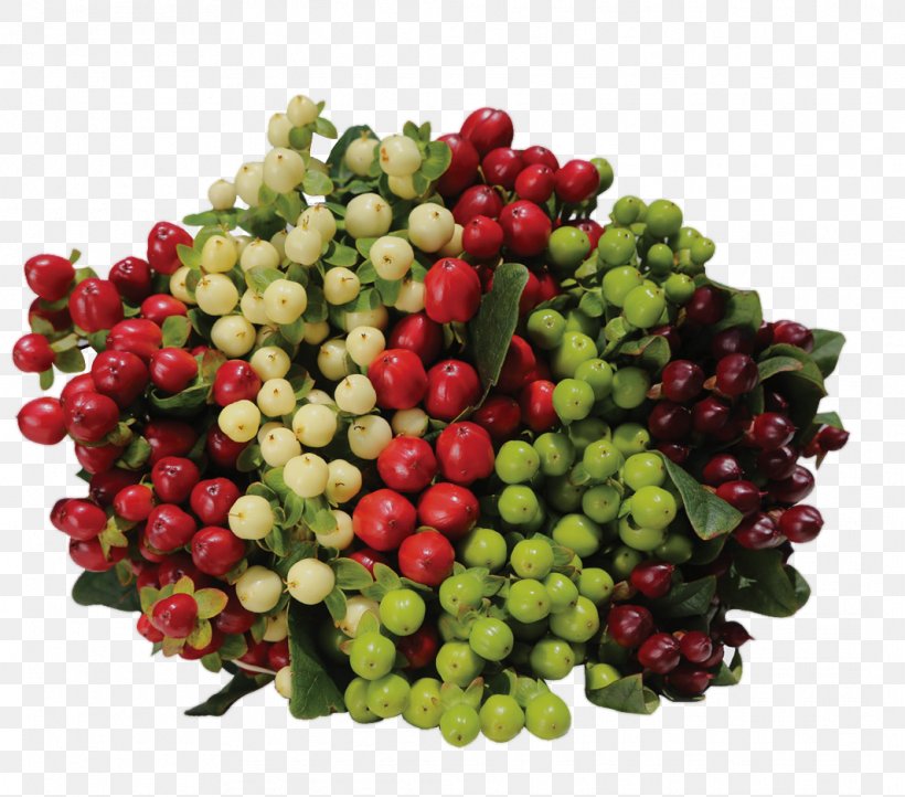 Cranberry Perforate St John's-wort Lingonberry Flower Food, PNG, 1065x939px, Cranberry, Berries, Berry, Flower, Food Download Free