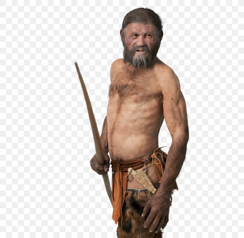 Iceman Ötzi Neandertal Mummy Homo Sapiens, PNG, 599x800px, Watercolor, Cartoon, Flower, Frame, Heart Download Free