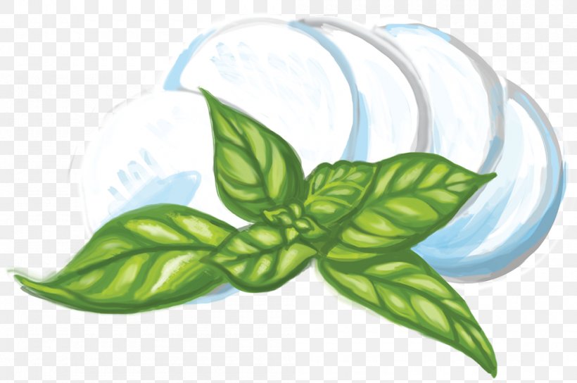 Mozzarella Italian Cuisine Clip Art Basil Cheese, PNG, 1000x664px, Mozzarella, Basil, Cheese, Flower, Food Download Free