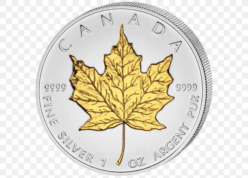 Vatican Euro Coins Canadian Gold Maple Leaf 2 Euro Commemorative Coins, PNG, 600x589px, 2 Euro Coin, 2 Euro Commemorative Coins, Coin, Business Strike, Canadian Gold Maple Leaf Download Free