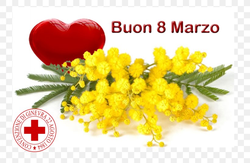 8 March Genoa International Women's Day Woman Image, PNG, 1024x670px, 8 March, 2017, 2018, Flower, Fruit Download Free