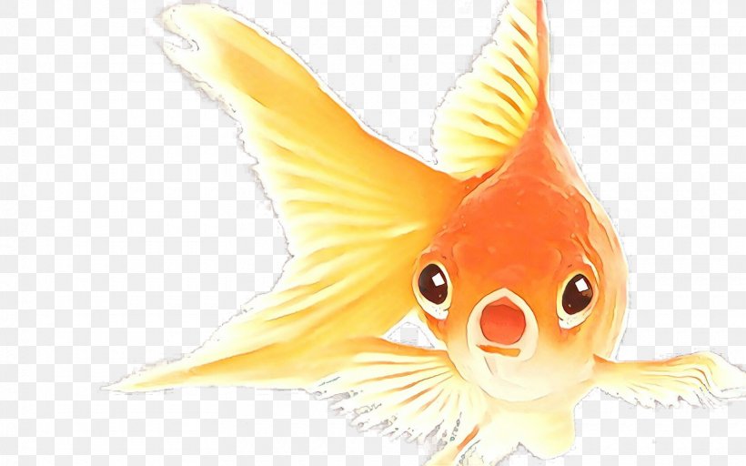 Animal Cartoon, PNG, 1720x1076px, Goldfish, Animal Figure, Beak, Bonyfish, Feeder Fish Download Free