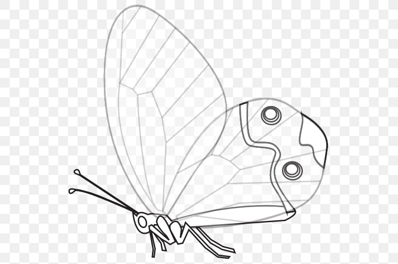 Butterfly Black And White Drawing Clip Art, PNG, 555x543px, Butterfly, Area, Artwork, Black And White, Brush Footed Butterfly Download Free