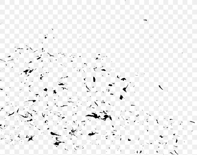 Debris Stanley Yelnats Desktop Wallpaper, PNG, 930x730px, Debris, Area, Beak, Bird, Black And White Download Free