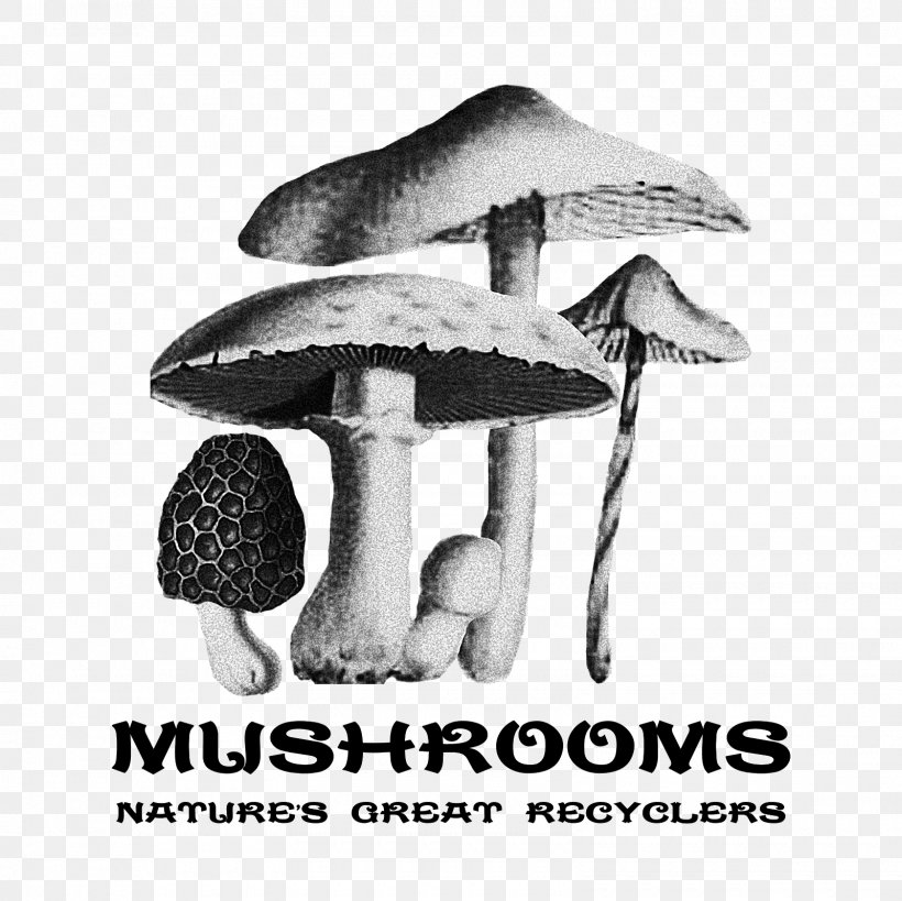 Edible Mushroom Food Ecovative Design Fungus, PNG, 1600x1600px, Mushroom, Baseball Cap, Black And White, Cafepress, Cap Download Free