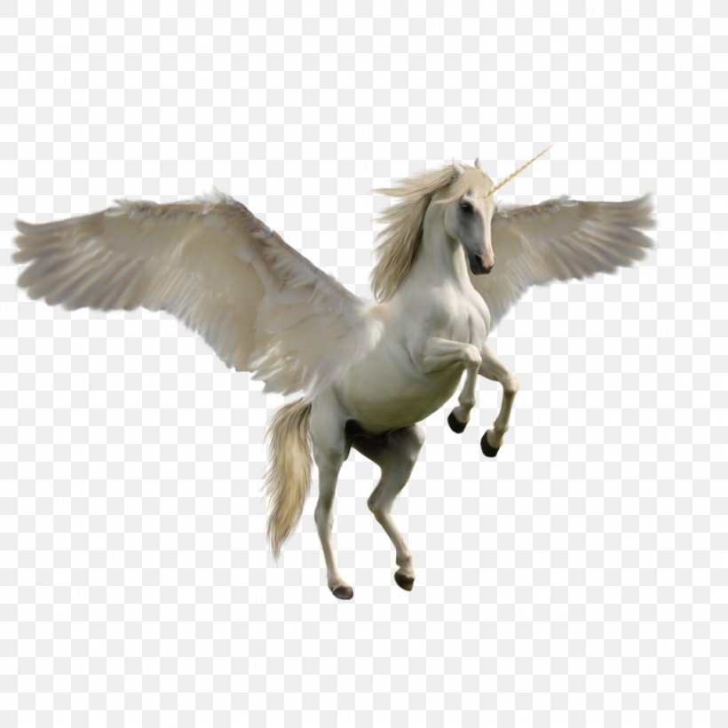 Unicorn Clip Art, PNG, 1024x1024px, Unicorn, Beak, Computer Graphics, Crane Like Bird, Feather Download Free