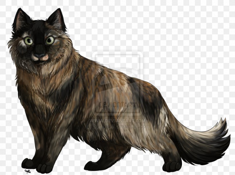 Whiskers Dog Breed Black Cat, PNG, 900x671px, Whiskers, Black Cat, Breed, Carnivoran, Cat Download Free