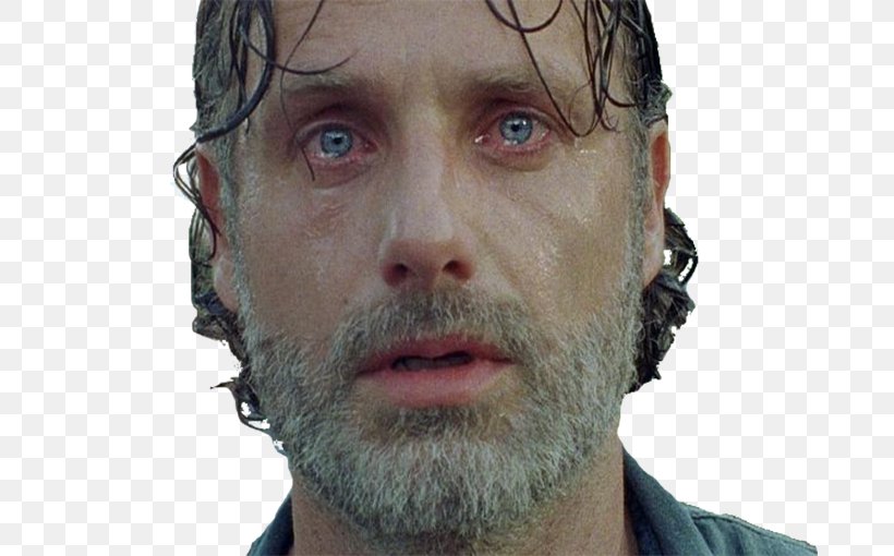 Andrew Lincoln The Walking Dead San Diego Comic-Con Michonne Rick Grimes, PNG, 680x510px, Andrew Lincoln, Actor, Amc, Beard, Chin Download Free