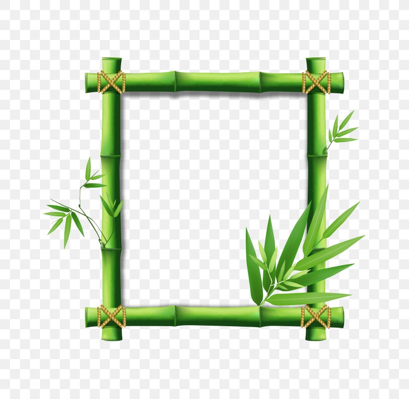 Bamboo Picture Frame Clip Art, PNG, 800x800px, Bamboo, Branch, Grass, Green, Picture Frame Download Free
