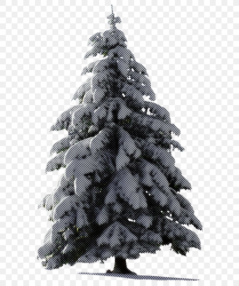 Christmas Tree, PNG, 600x980px, Colorado Spruce, Christmas Decoration, Christmas Tree, Conifer, Fir Download Free