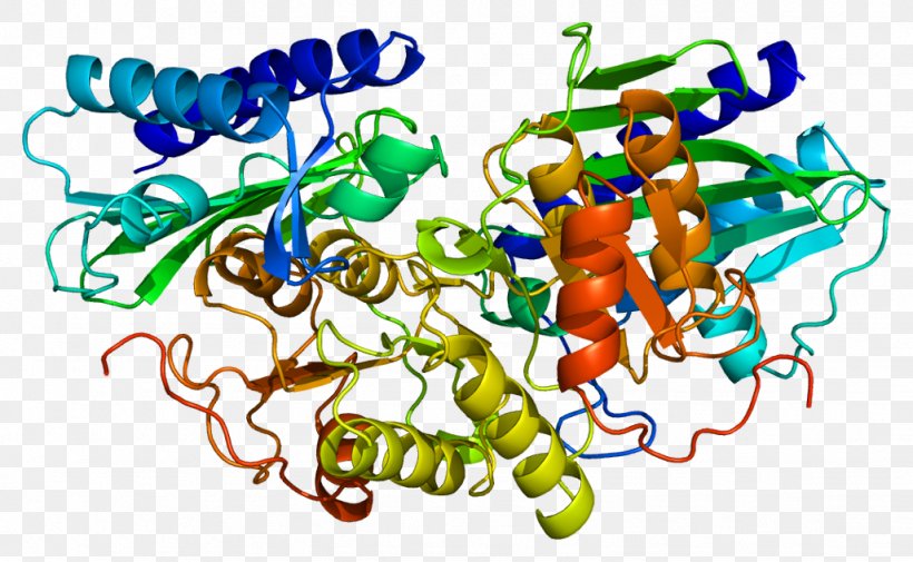 Inositol Monophosphatase 1 Lithium Inositol Monophosphatase 2, PNG, 1027x633px, Inositol Monophosphatase, Art, Bipolar Disorder, Cofactor, Enzyme Download Free