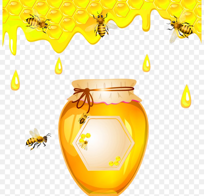 Insect Savior Of The Honey Feast Day Apidae, PNG, 800x787px, Insect, Apidae, Bee, Bumblebee, Honey Download Free
