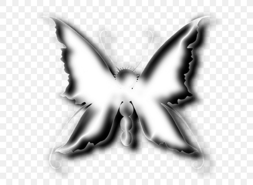 Moth Symmetry White Font, PNG, 800x600px, Moth, Black And White, Butterfly, Insect, Invertebrate Download Free