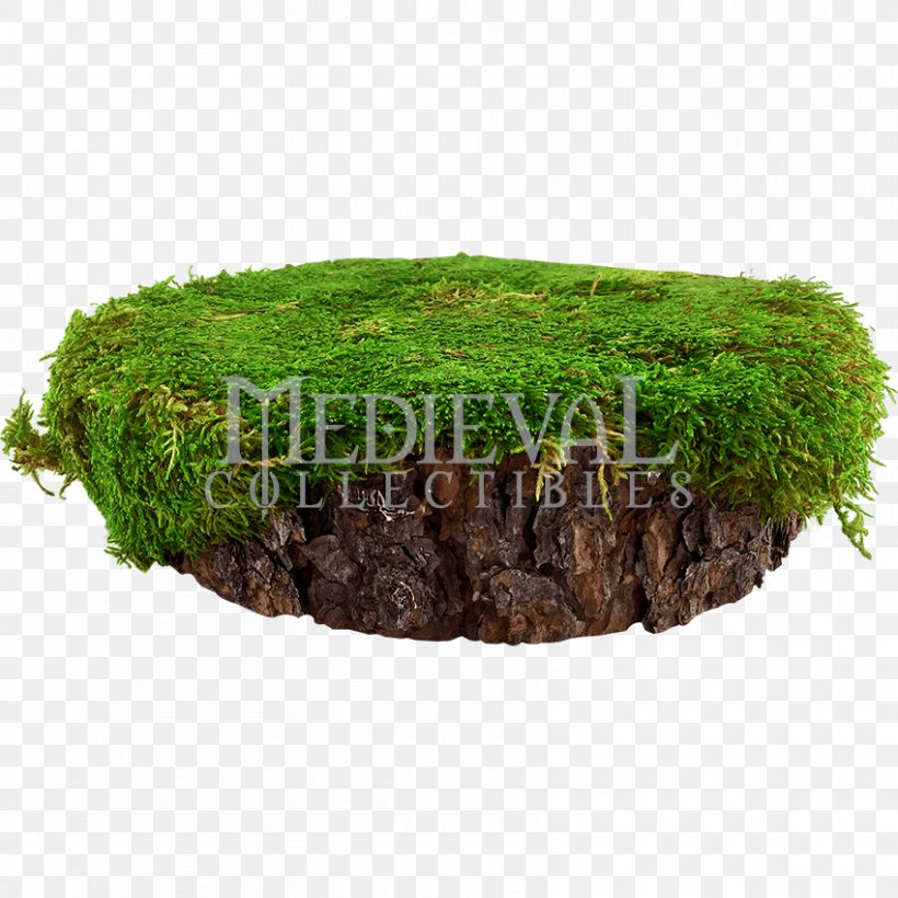 Tree Stump Garden Soil Dark Knight Armoury, PNG, 850x850px, Tree, Dark Knight Armoury, Fairy, Flowerpot, Garden Download Free