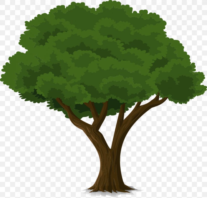 Animation Tree Clip Art, PNG, 836x800px, Animation, Android, Child, Grass, Image File Formats Download Free