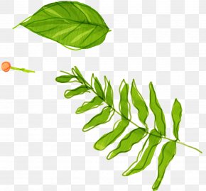 Hand-painted Grass - Leaf Watercolor Painting PNG