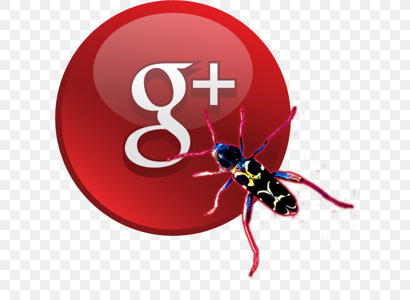 YouTube Google+ Social Network Clip Art, PNG, 600x600px, Youtube, Arthropod, Beetle, Google, Insect Download Free