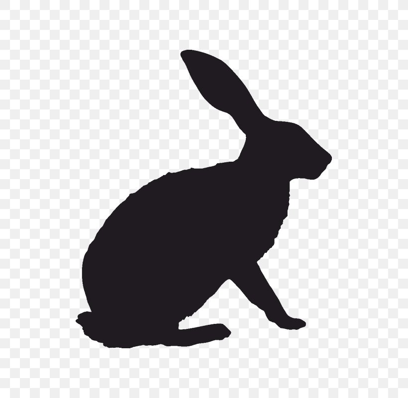 Hare Rabbit Vector Graphics Image Silhouette, PNG, 800x800px, Hare, Black And White, Decal, Domestic Rabbit, Fauna Download Free
