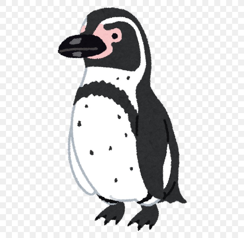 Magellanic Penguin African Penguin Humboldt Penguin Southern Rockhopper Penguin, PNG, 583x800px, Penguin, African Penguin, Antarctic, Antarctica, Banded Penguin Download Free